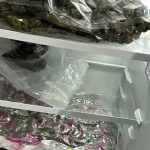 Kilograme de canabis confiscate de la cinci tineri din Valcea Unul dintre suspecti este cercetat si pentru proxenetism