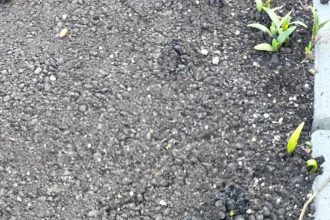 Asfaltul a devenit verde pe Strada Lespezi din Ramnicu Valcea Lucrarea STRABAG receptionata fara a fi inspectata