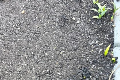 Asfaltul a devenit verde pe Strada Lespezi din Ramnicu Valcea Lucrarea STRABAG receptionata fara a fi inspectata