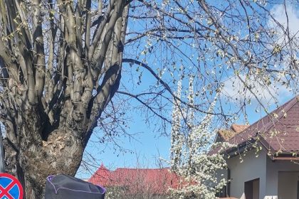 Daruri de Sfintele Pasti oferite de Protoieria Ramnicu Valcea persoanelor defavorizate din proiectul Masa pe Roti