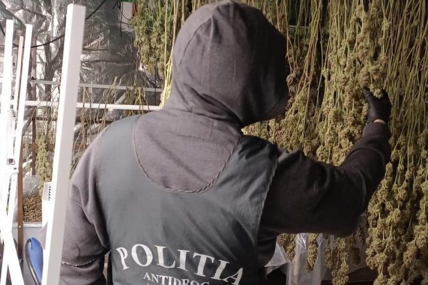 laborator de droguri descoperit in valcea retea cu legaturi internationale 11 persoane retinute de diicot dupa perchezitii de amploare
