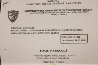 Virgil Pirvulescu si doctoratul in CET Govora intre nota 5 si lectiile zilnice despre incalzire centralizata