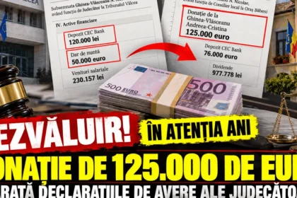 ANI verifică o donație de 125.000 € a judecătoarei Ghinea-Vlăsceanu și a soțului