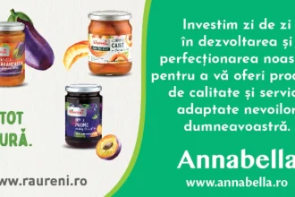 APAVIL SA organizează concurs pentru postul de inginer la Compartimentul GIS