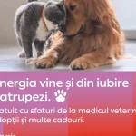 Atelier gratuit pentru iubitorii de animale, la magazinul PPC din Râmnicu Vâlcea
