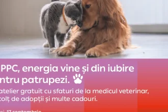 Atelier gratuit pentru iubitorii de animale, la magazinul PPC din Râmnicu Vâlcea