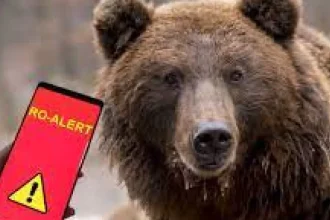 Urs în gospodărie la Bărbătești: animale ucise și alertă RO-Alert